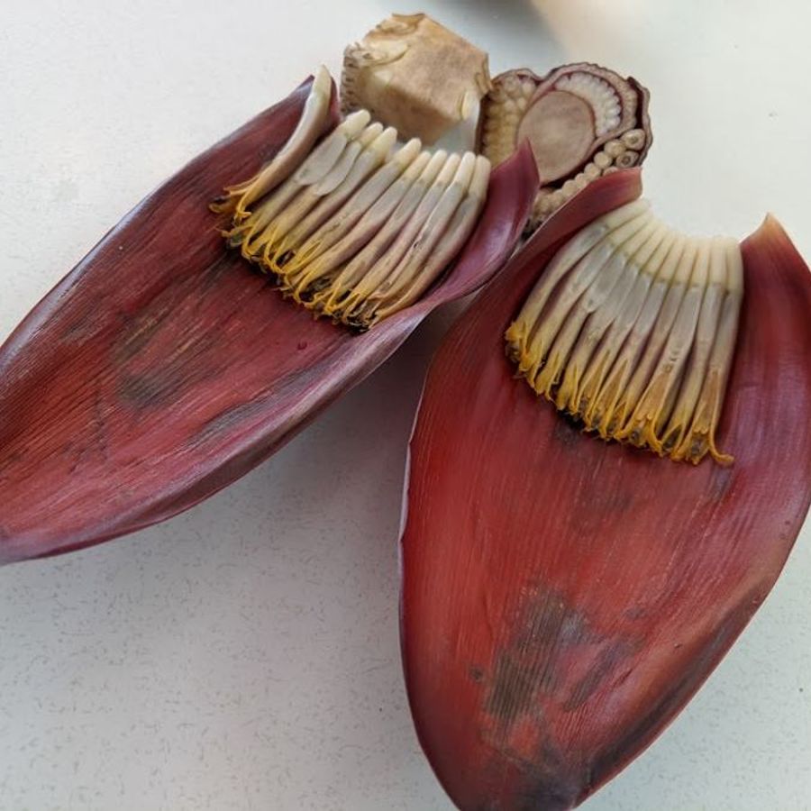 Fresh banana flower (blossom)