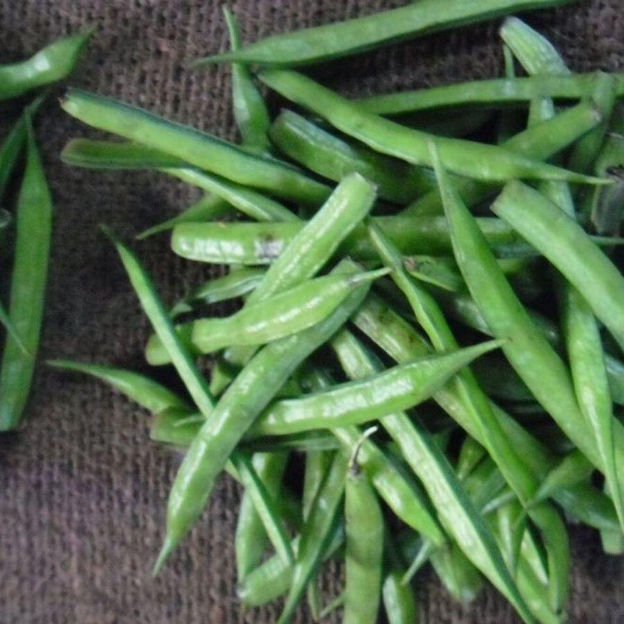 Fresh cluster beans (gawar)