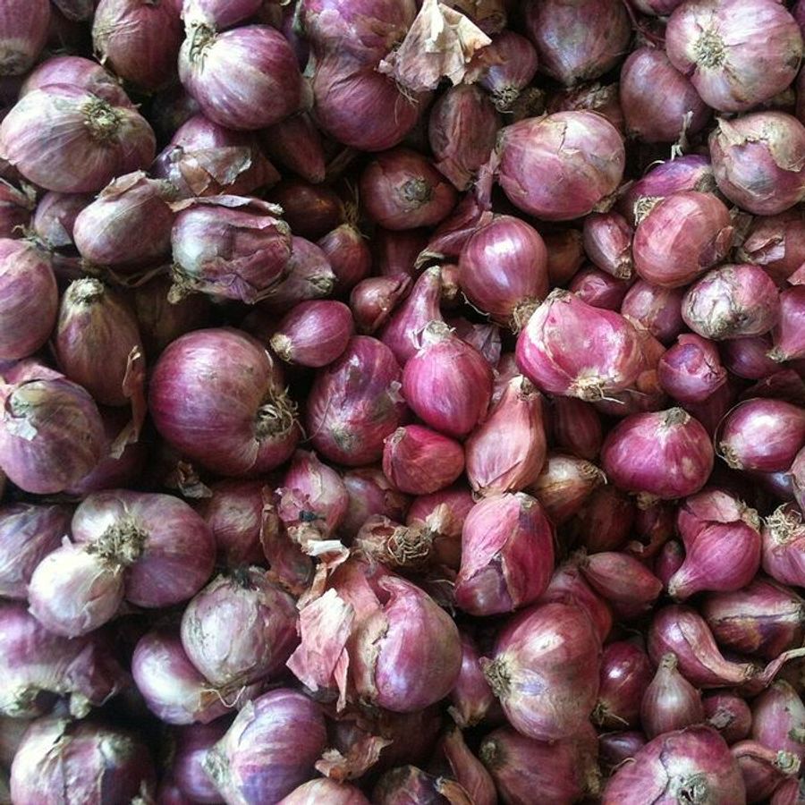 Fresh small (shallot) onions